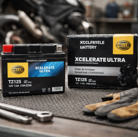 Batería Moto Pulsar Ns200 Dominar 400 Akt 250 Duke 200 YTZ12S