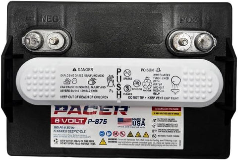 Pacer P-875 - Carrito de golf de 8 voltios y 165 Ah, 6 unidades  batería de ciclo profundo de uso solar, marina, RV y uso industrial, compatible con T-875 | T875