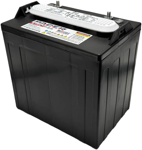 Pacer P-875 - Carrito de golf de 8 voltios y 165 Ah, 6 unidades  batería de ciclo profundo de uso solar, marina, RV y uso industrial, compatible con T-875 | T875