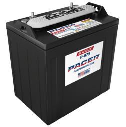 Pacer P-875 - Carrito de golf de 8 voltios y 165 Ah, 6 unidades  batería de ciclo profundo de uso solar, marina, RV y uso industrial, compatible con T-875 | T875